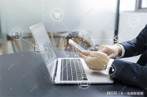 服務(wù)器的驗證碼重要么 短信驗證碼的作用與信息系統(tǒng)集成服務(wù)解析